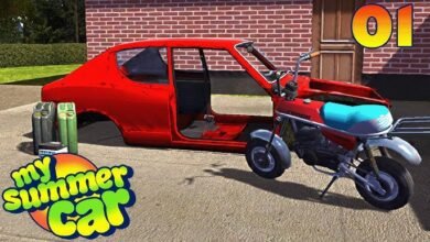 My summer car