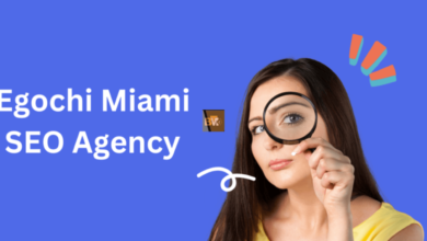 Egochi Miami SEO Agency: Elevating Digital Presence in the Sunshine State