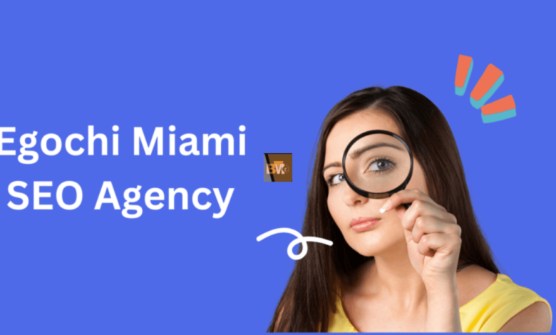 Egochi Miami SEO Agency: Elevating Digital Presence in the Sunshine State